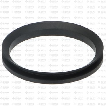 V-Ring (4110026)