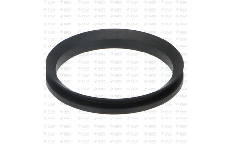 V-Ring (4110026)